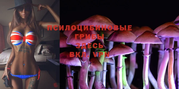 ALPHA PVP Белокуриха