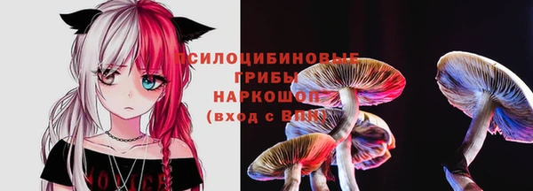 ALPHA PVP Белокуриха