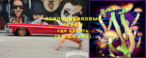молекула духа Белоозёрский