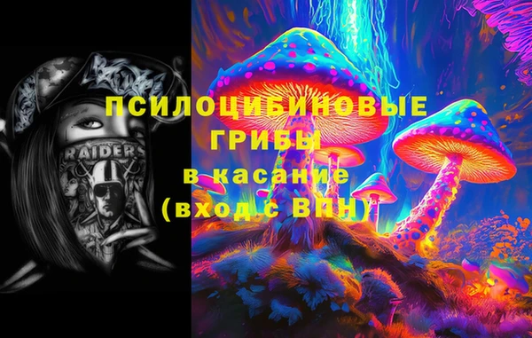 молекула духа Белоозёрский