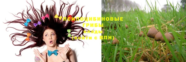 молекула духа Балахна