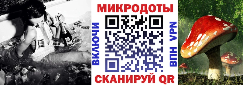 гидра зеркало  Мосальск  Псилоцибиновые грибы мицелий 